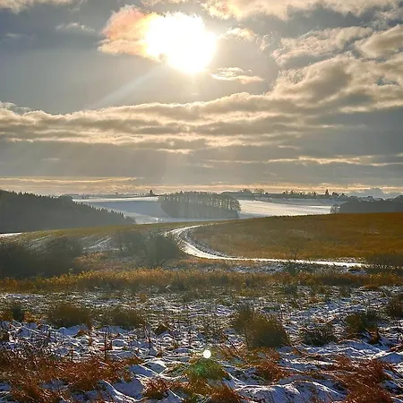 Absalonart Kunstvoll Wohnen Heilbach