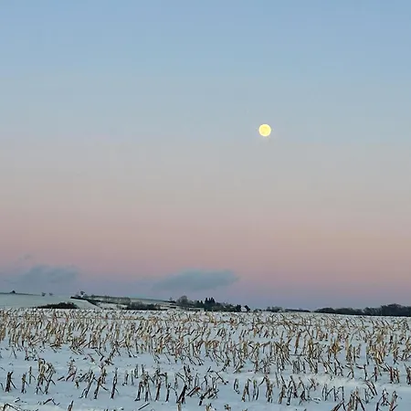 Absalonart Kunstvoll Wohnen *
