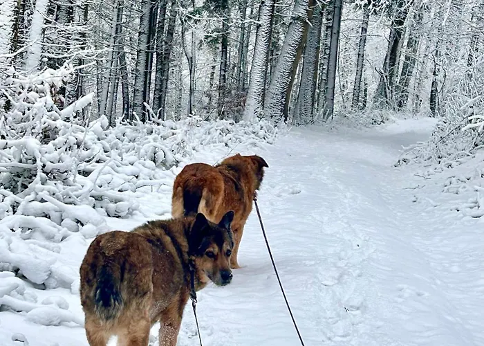 Appartement Absalonart Kunstvoll Wohnen Heilbach