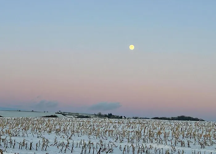 Absalonart Kunstvoll Wohnen *
